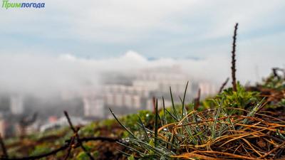 В начале недели во Владивостоке сохранится неустойчивая погода