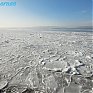 Площадь льда в Амурском и Уссурийском заливах значительно увеличилась