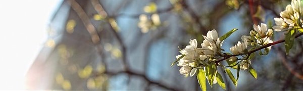 В воскресенье погода в Приморье начнёт портиться