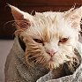 Во Владивостоке стартует третий этап отключений горячей воды (АДРЕСА)