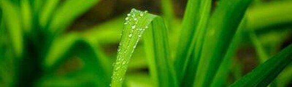 Синоптики рассказали, когда прекратятся дожди и грозы в Приморье