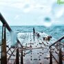 В Приморье идут дожди, местами сильные