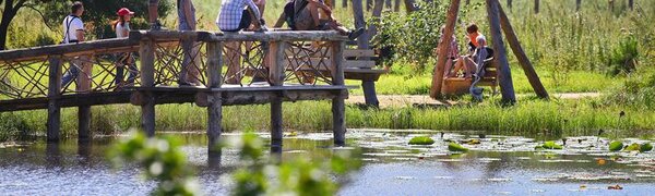 Хорошая погода была в Приморье на праздничных выходных