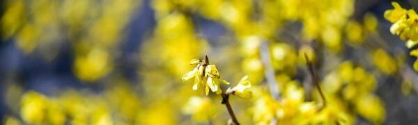 От +11°С до +31°С: разброс температур в Приморье составляет 20 градусов 