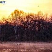 Реки южных районов Приморья вскрылись ото льда