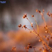 Реки южных районов Приморья вскрылись ото льда