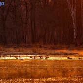 Реки южных районов Приморья вскрылись ото льда