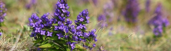 Прогноз погоды на рабочую неделю на Примпогоде