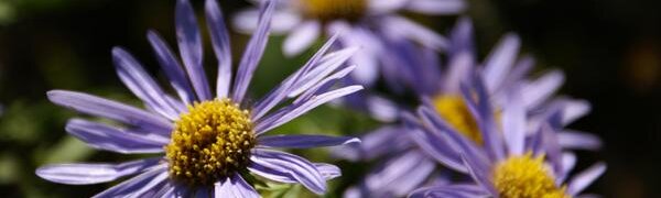До +23°C прогреется воздух в Приморье в четверг