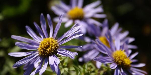 До +23°C прогреется воздух в Приморье в четверг