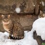 Во Владивостоке в четверг днем столбики термометров приблизятся к нулевой отметке