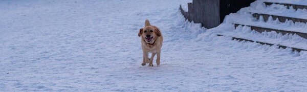 Синоптики озвучили прогноз погоды на предпоследние выходные января в Приморье