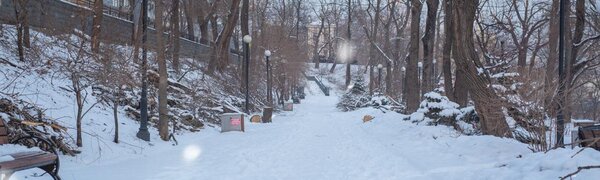 Cнег, мокрый снег, дождь: погода удивит жителей Приморья 26 – 27 января