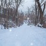 Cнег, мокрый снег, дождь: погода удивит жителей Приморья 26 – 27 января