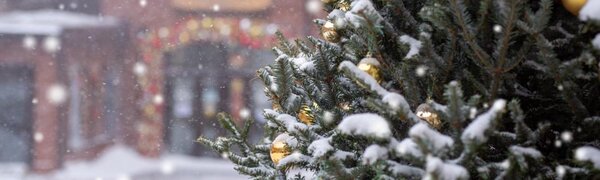 Крещенские морозы до - 39 °С ударят в Приморье в ближайшие сутки