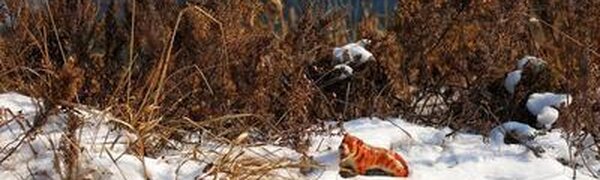 Потепление начнется в Приморье в среду