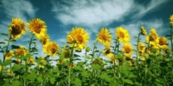 В воздухе пахнет осенью