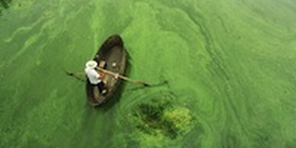 Китай серьезно взялся за экологию