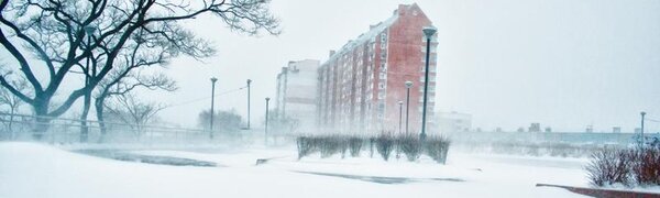 Месячная норма осадков выпала во Владивостоке