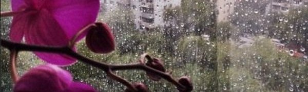 Пятница во Владивостоке: гроза и дождь (ФОТО)