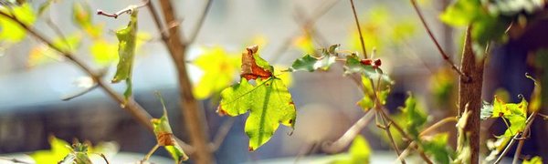 Во Владивостоке завтра станет немного теплее