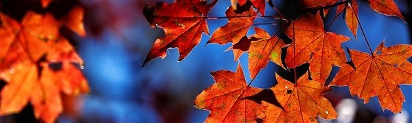 В Приморье пришла очередная волна холода