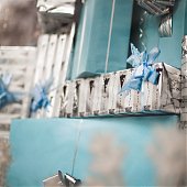 Встречаем Новый год вместе с Примпогодой