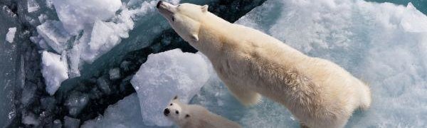ВМО: 2016 год может стать самым жарким за всю историю