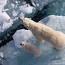 ВМО: 2016 год может стать самым жарким за всю историю