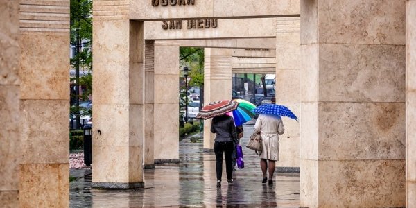 В пятницу в Приморье будет дождливо