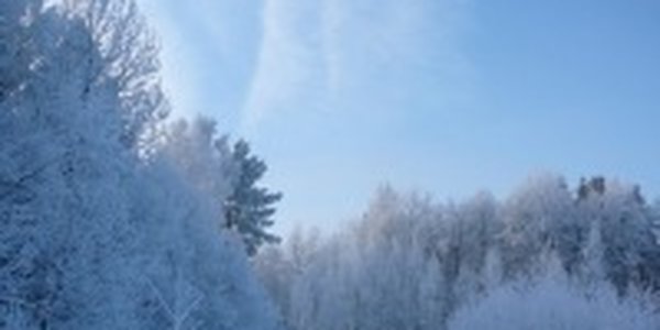 В Приморье похолодало