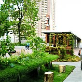 Впусти природу в офис