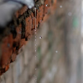 Долгожданная весна во Владивостоке (ФОТО)