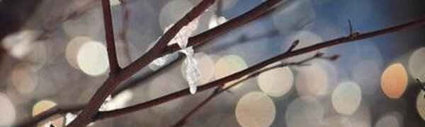 Морозная без осадков погода ожидается в Приморье в среду