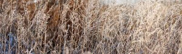 Холодные и ветреные выходные ожидаются в Приморье