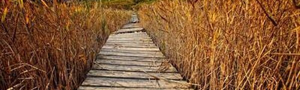 Температура воздуха в Приморье выше нормы на 1 — 6 градусов