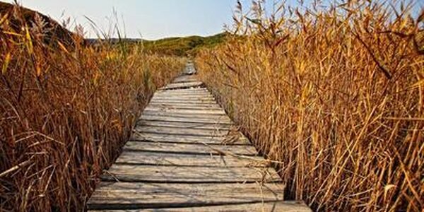 Синоптики подготовили прогноз погоды на первые выходные ноября в Приморье