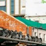 Выходные во Владивостоке будут солнечными, но холодными