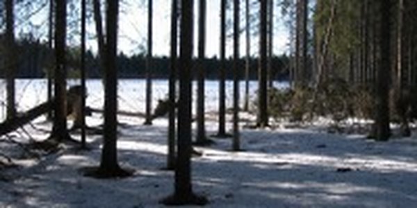Характер погоды в Приморье в ближайшие сутки изменится