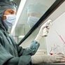 7 апреля – Примпогода.ру отмечает Всемирный день здоровья: ОПРОС и Мнение специалиста
