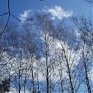 Март – зимобор, перевёртыш. Каким он оказался в Приморье?
