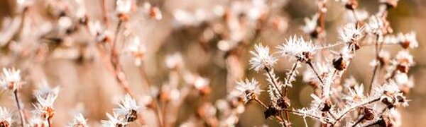 Ноябрь удивил жителей Приморья разнообразием погоды