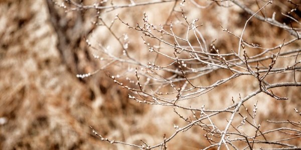 Температура воздуха в Приморье остается ниже климатической нормы на 1–5 °С