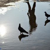 В Приморье 9 августа сохранится жаркая погода