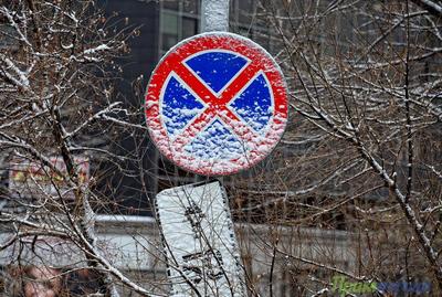 На Русском острове запретят парковку машин на обочинах