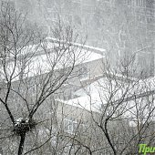 Приморье накрыл снежный циклон