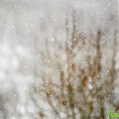 Приморье накрыл снежный циклон