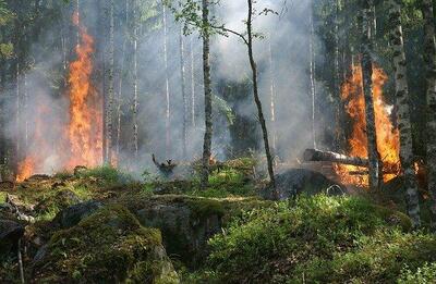 Названы регионы России с высокими рисками природных пожаров
