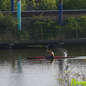Лето в городе