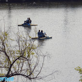 Лето в городе